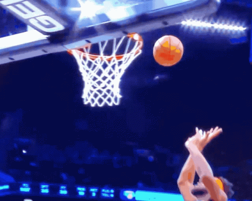 Mitchell Robinson Dunk animated GIF