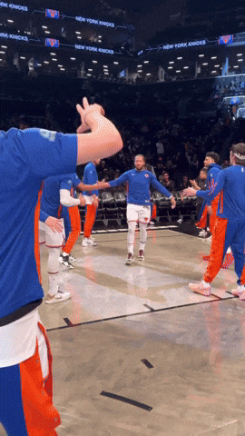 Knicks High Five Line animated GIF