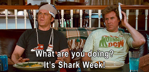 Shark Week animated GIF