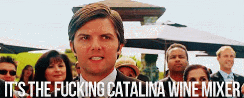 Stepbrothers Catalina animated GIF