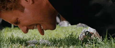 Salmon Faceplant animated GIF