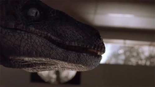 Raptor Closeup animated GIF