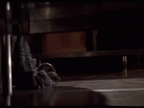 Kitchen Raptor animated GIF