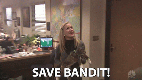 Save Bandit animated GIF