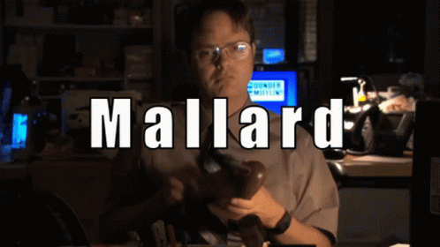 Mallard Dwight animated GIF