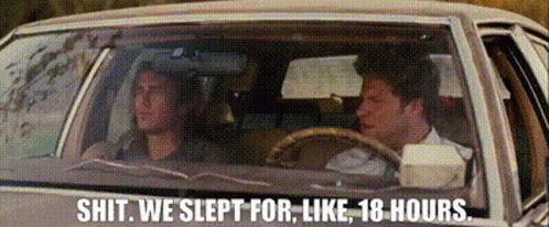 Pineapple Express Sleep animated GIF