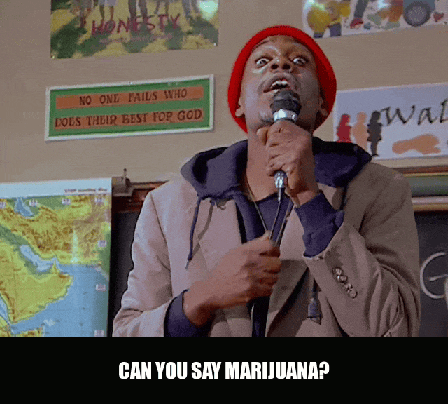 Can You Say Marijuana from Chappelle's Show (2003), captioned "Can you say marijuana?", Earnest and Deadpan reaction animated GIF