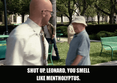 Joel Mchale in Community (2009), captioned "Shut up, Leonard, you smell like mentholyptus.", Dismissive and Annoyed reaction animated GIF