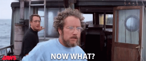 Richard Dreyfuss and Roy Scheider in Jaws (1975), Confused and Surprised reaction animated GIF