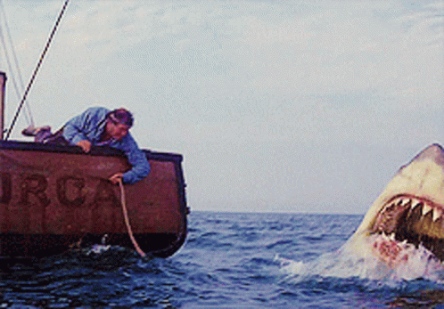Robert Shaw in Jaws (1975), Tense and Alarmed reaction animated GIF