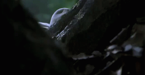 Sam Neill in Jurassic Park (1993), Tense and Peeking reaction animated GIF