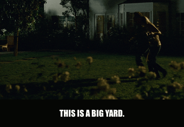 Seth Rogen in Knocked Up (2007), captioned "This is a big yard.", Impressed and Casual reaction animated GIF