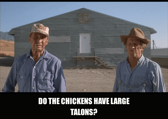 Jon Heder in Napoleon Dynamite (2004), captioned "Do the chickens have large talons?", Earnest and Confused reaction animated GIF