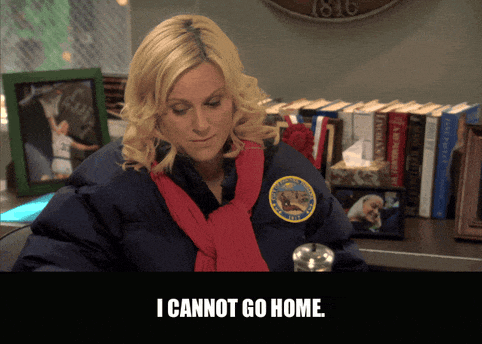 Amy Poehler in Parks and Recreation (2009), captioned "I cannot go home.", Determined and Desperate reaction animated GIF