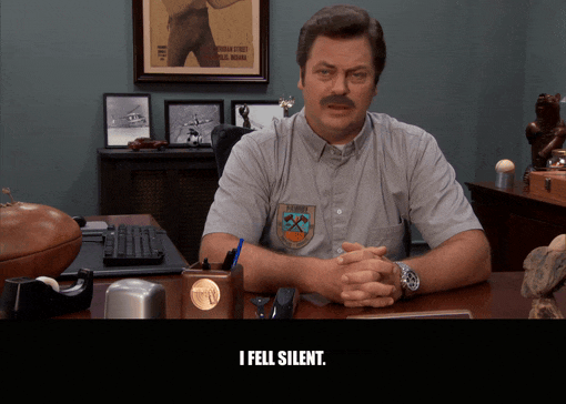 Nick Offerman in Parks and Recreation (2009), captioned "I fell silent.", Deadpan and Defiant reaction animated GIF