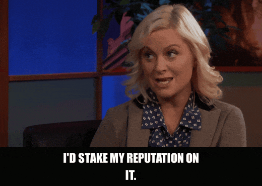 Amy Poehler in Parks and Recreation (2009), captioned "I'd stake my reputation on it.", Confident and Determined reaction animated GIF