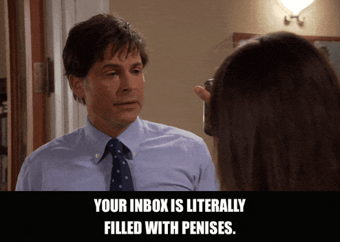 Rob Lowe in Parks and Recreation (2009), captioned "Your inbox is literally filled with penises.", Matter-Of-Fact and Appalled reaction animated GIF