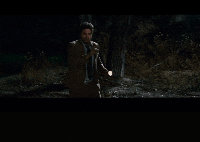 James Franco and Seth Rogen in Pineapple Express (2008), captioned "The lion will speak.", Earnest and Anxious reaction animated GIF