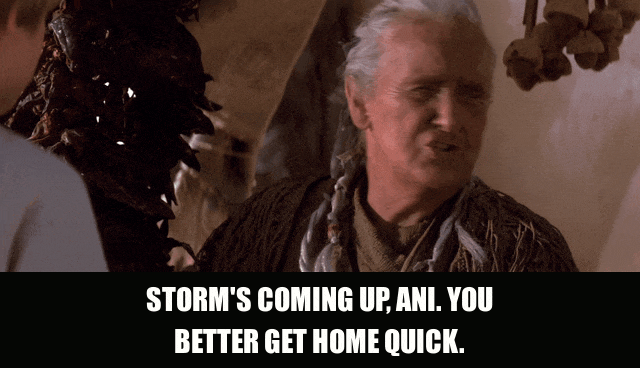 Margaret Towner in Star Wars: The Phantom Menace (1999), captioned "Storm's coming up, Ani. You better get home quick.", Concerned and Warm reaction animated GIF