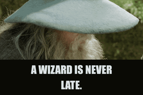 Ian Mckellen in The Lord of the Rings: The Fellowship of the Ring (2001), captioned "A wizard is never late.", Serious and Wise reaction animated GIF