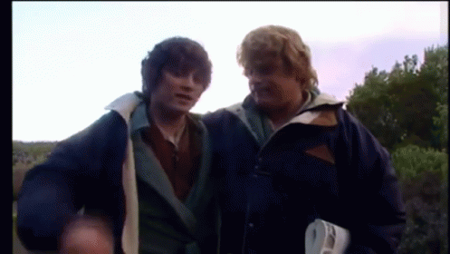 Accomplishment from The Lord of the Rings: The Fellowship of the Ring (2001), Tense and Awed reaction animated GIF