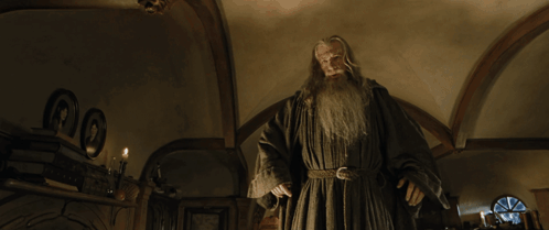 Angry Gandalf from The Lord of the Rings: The Fellowship of the Ring (2001), Tense and Awed reaction animated GIF