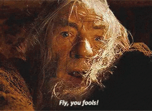 Ian Mckellen in The Lord of the Rings: The Fellowship of the Ring (2001), captioned "Fly, you fools!", Urgent and Desperate reaction animated GIF