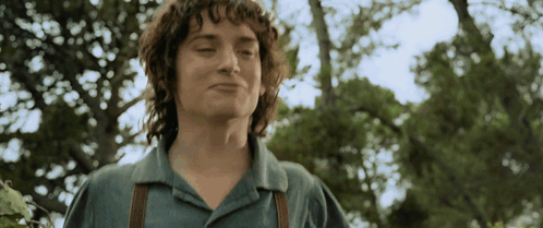 Gandalf And Frodo Hug from The Lord of the Rings: The Fellowship of the Ring (2001), Tense and Awed reaction animated GIF