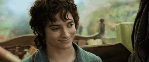 Gandalf And Frodo Laugh from The Lord of the Rings: The Fellowship of the Ring (2001), Tense and Awed reaction animated GIF