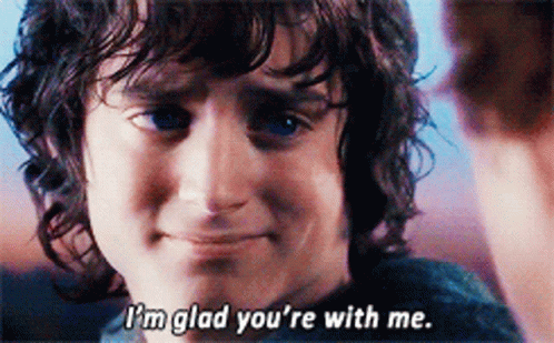 I'm Glad You're With Me from The Lord of the Rings: The Fellowship of the Ring (2001), Tense and Awed reaction animated GIF