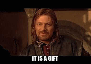 It Is A Gift from The Lord of the Rings: The Fellowship of the Ring (2001), Tense and Awed reaction animated GIF