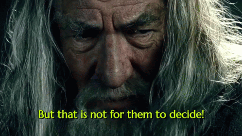 That Is Not For Them To Decide from The Lord of the Rings: The Fellowship of the Ring (2001), Tense and Awed reaction animated GIF