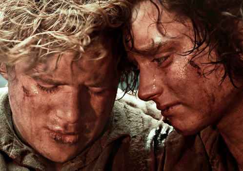 Frodo And Sam At Mount Doom from The Lord of the Rings: The Return of the King (2003), Heroic and Grave reaction animated GIF