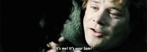 Sam, It's Me from The Lord of the Rings: The Return of the King (2003), Heroic and Grave reaction animated GIF