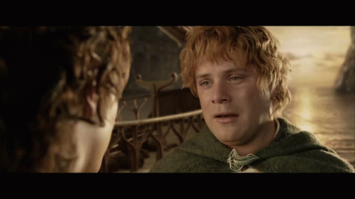 You Can't Leave Sam from The Lord of the Rings: The Return of the King (2003), Heroic and Grave reaction animated GIF