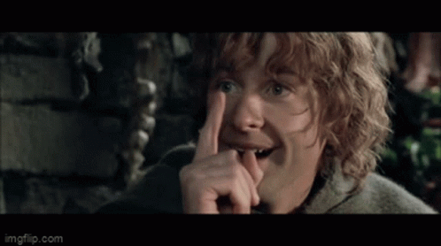I Get It from The Lord of the Rings: The Two Towers (2002), Tense and Defiant reaction animated GIF