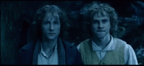 Merry And Pippin Wait from The Lord of the Rings: The Two Towers (2002), Tense and Defiant reaction animated GIF