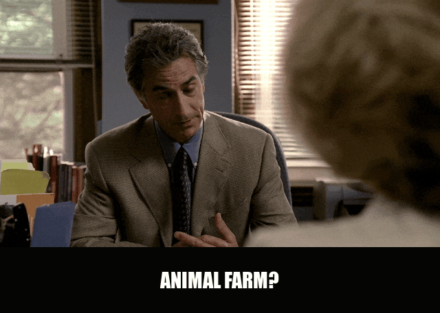 Edie Falco in The Sopranos (1999), captioned "Animal Farm?", Confused and Incredulous reaction animated GIF
