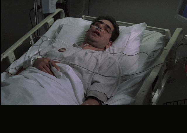 Tony Sirico in The Sopranos (1999), captioned "Heat's the first thing you'd notice. Hell is hot. That's never been disputed by anybody.", Matter-Of-Fact and Confident reaction animated GIF