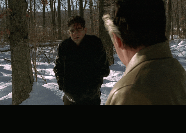 Michael Imperioli in The Sopranos (1999), captioned "His house looked like shit.", Deadpan and Dismissive reaction animated GIF