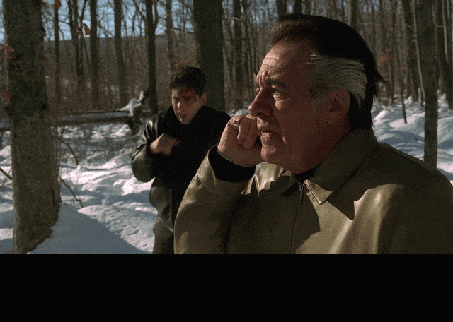 James Gandolfini in The Sopranos (1999), captioned "So I'm gonna talk fast. The guy you're looking for is an ex-commando. He killed sixteen Chechen rebels single-handed.", Urgent and Intense reaction animated GIF