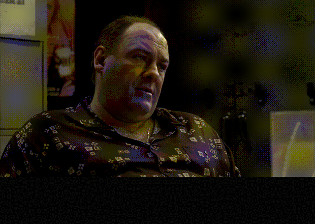 Robert Funaro and James Gandolfini in The Sopranos (1999), captioned "I'm gonna be 50 in three years, Ton'. My dad died at 52. You took an oath, Gene. There's no retiring from this.", Worried and Blunt reaction animated GIF
