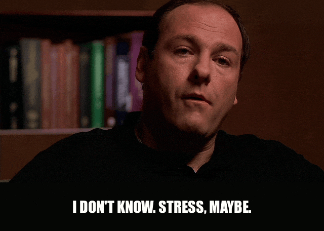 James Gandolfini in The Sopranos (1999), captioned "I don't know. Stress, maybe.", Evasive and Brooding reaction animated GIF