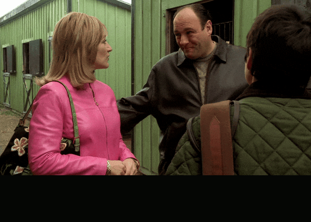 James Gandolfini and Edie Falco in The Sopranos (1999), captioned "What is that, a goat? Yeah, that's her friend.", Amused and Charmed reaction animated GIF