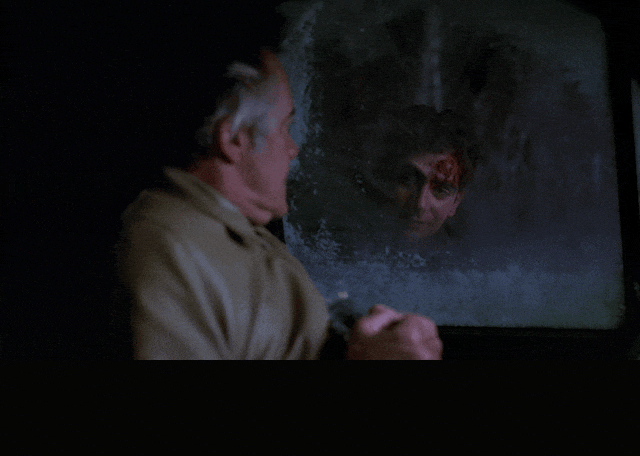 Tony Sirico and Michael Imperioli in The Sopranos (1999), captioned "Captain or no captain, right now we're just two assholes lost in the woods.", Fed Up and Defiant reaction animated GIF