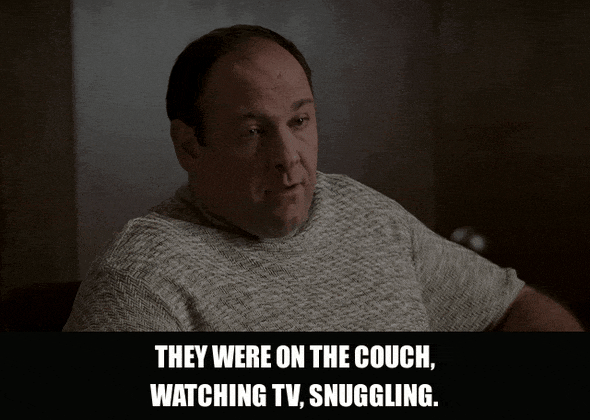 James Gandolfini in The Sopranos (1999), captioned "They were on the couch, watching TV, snuggling.", Disturbed and Incredulous reaction animated GIF