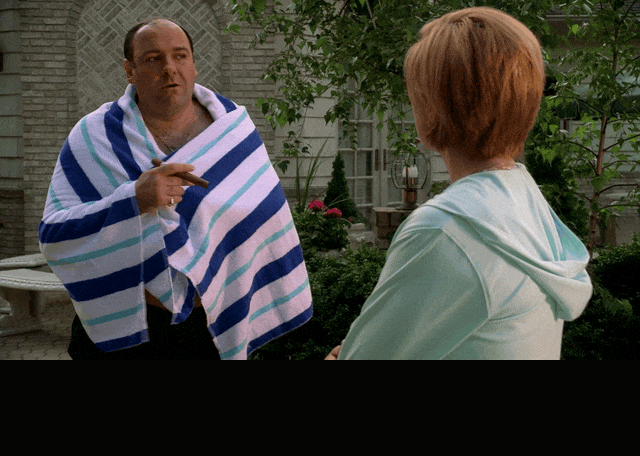 James Gandolfini and Edie Falco in The Sopranos (1999), captioned "Whose idea was Whitecaps?", Bitter and Accusatory reaction animated GIF