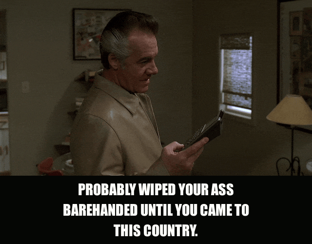 Tony Sirico in The Sopranos (1999), captioned "Probably wiped your ass barehanded until you came to this country.", Contempt and Amusement reaction animated GIF