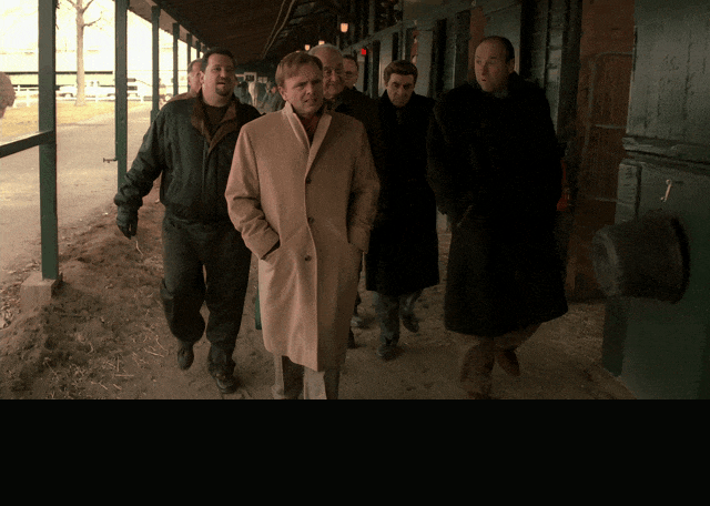 James Gandolfini in The Sopranos (1999), captioned "How do you like that? You own a horse, Tony?", Amused and Incredulous reaction animated GIF