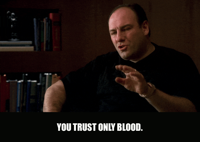James Gandolfini in The Sopranos (1999), captioned "You trust only blood.", Serious and Guarded reaction animated GIF